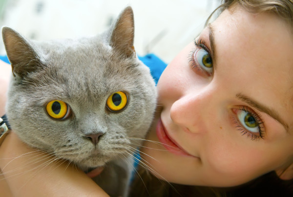 close-up portrait of a beautiful girl with green eyes holding british cat