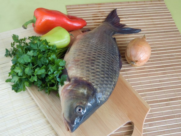 Carp fish close up on chopping board